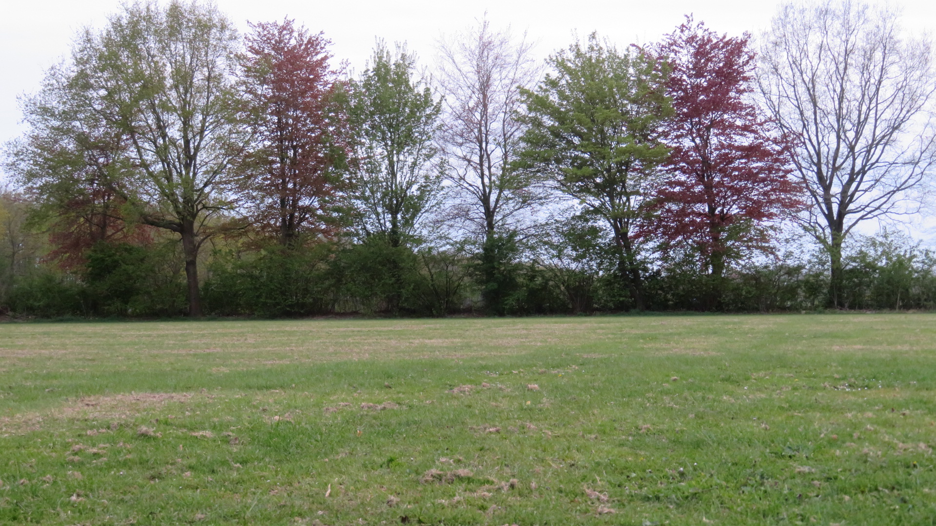 Sportveld Hellum: geverticuteerd en nieuw gras ingezaaid, zicht richting Schildwolde.