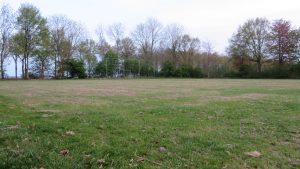Sportveld Hellum: geverticuteerd en nieuw gras ingezaaid, zicht op snelweg